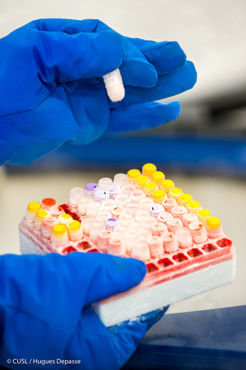 IgG isotype controls, anti-species and secondary antibodies