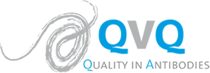 QVQ - Quality in antibodies