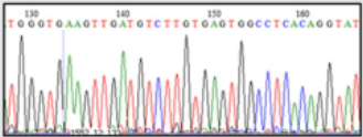 Sequencing